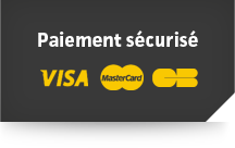 Paiement sécurisé Visa MasterCard CB